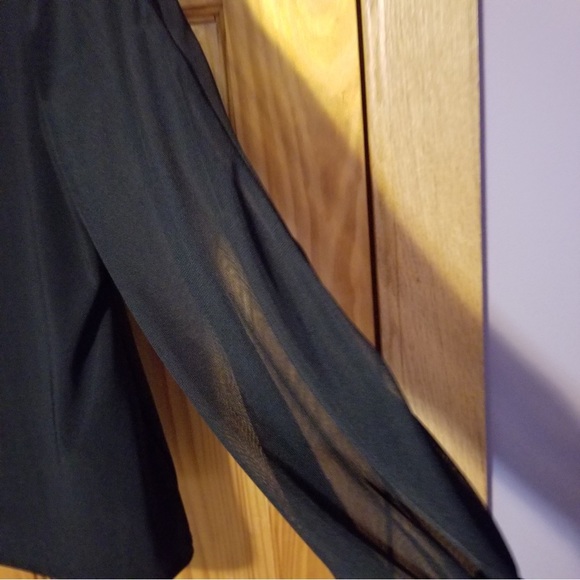 Fancy top sheer sleeves with rhinestones on cuffs - Picture 2 of 7